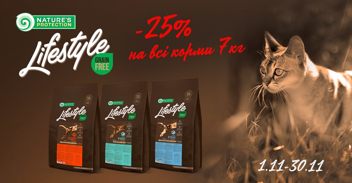 Lifestyle_25_Koty_email