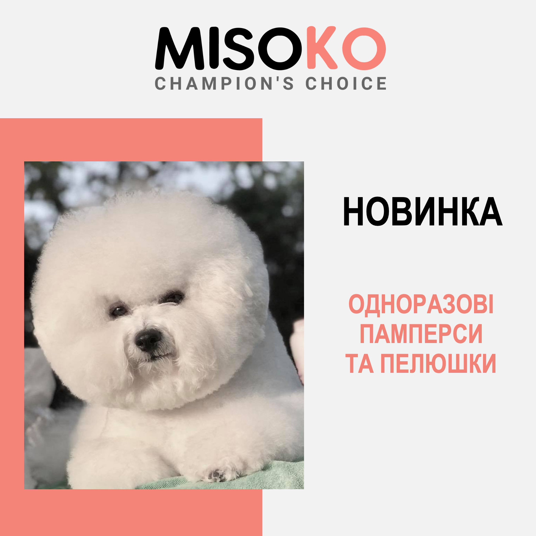 Misoko&Co - Аксесуари для чемпіонів