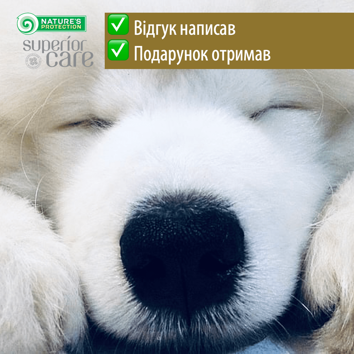 OTZYV5