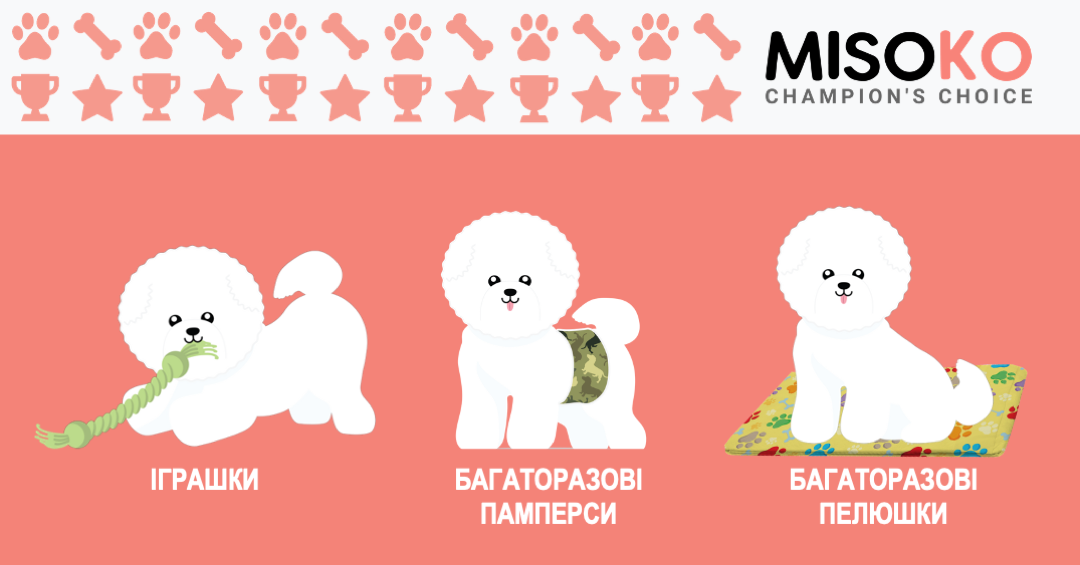Misoko_1200_628_2