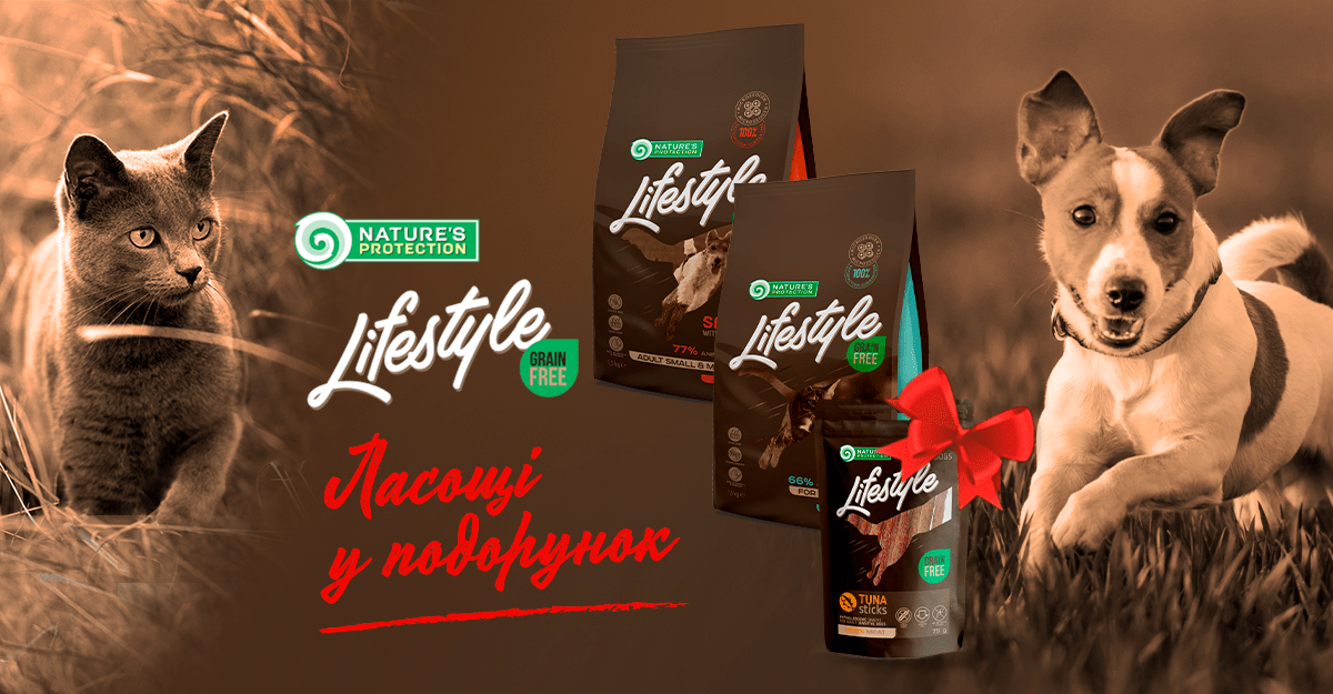 Ласощі в подарунок!